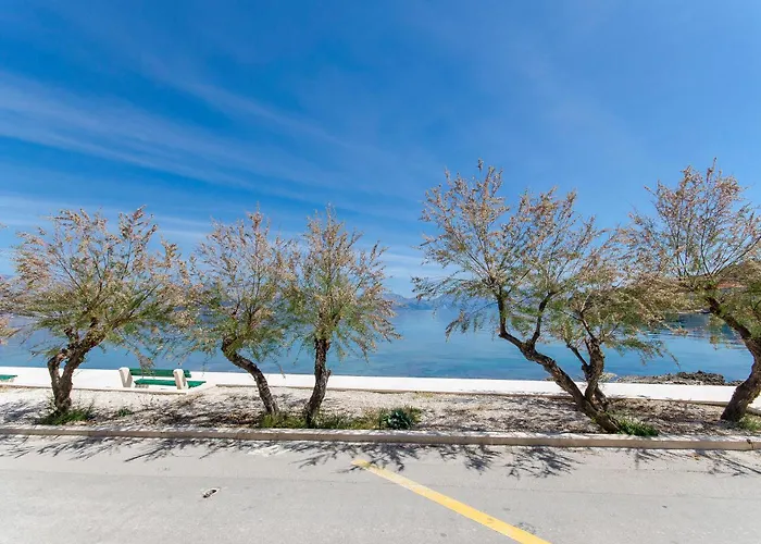 Sidro * 포스티라