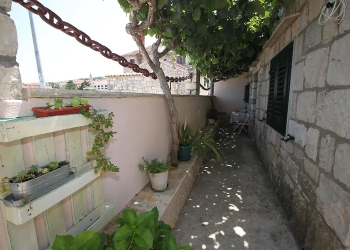 Sidro * פוסטיר